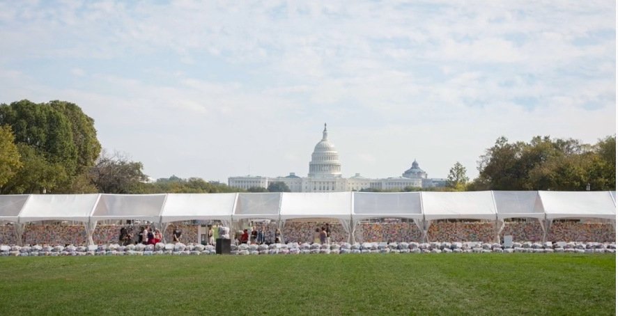 US Capitol with This Loss We Carry Exhibit spans the National Mall with US Capitol in background