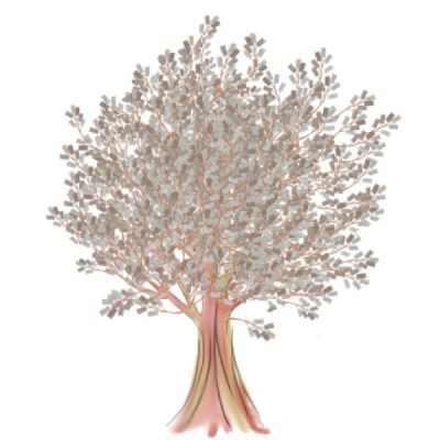 The giving tree of the Soul Box Project